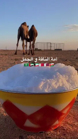آمة الناقة و الجمل 🐪💜. #fy #viral #اكسبلور 