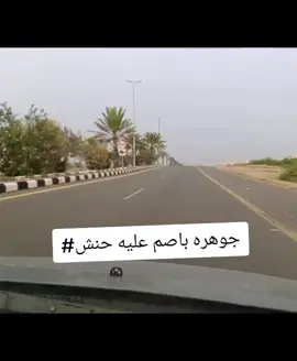 جوهره باصم عليه حنش #اغاني_مسرعه💥 #Sing_Oldies ت#تراث #اغاني_مسرعه💥 