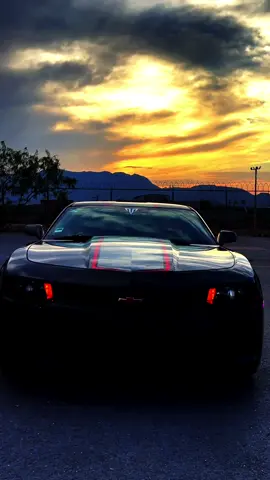 #camaro #camarors #camarozl1 #camaross #camaros 