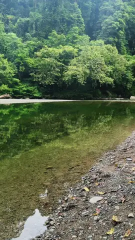 🍃Alam#fyp #fypシ゚ #dayakkalimantan #kalimantantimur #viral 