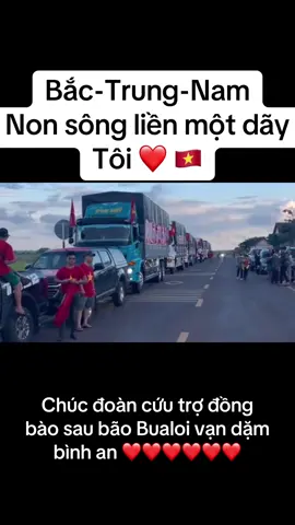#tiktok #vietnam #xuhuongtiktok #xuhuongcapcut #bao 