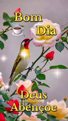 #deusetudo  #deus #motivacional #reflexaododia  #bomdia 