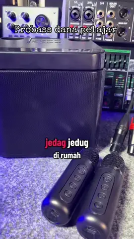 Speaker karaoke probass mini , enak buat karaokean #speakerkaraoke #minispeaker #soundsystem #fyp 