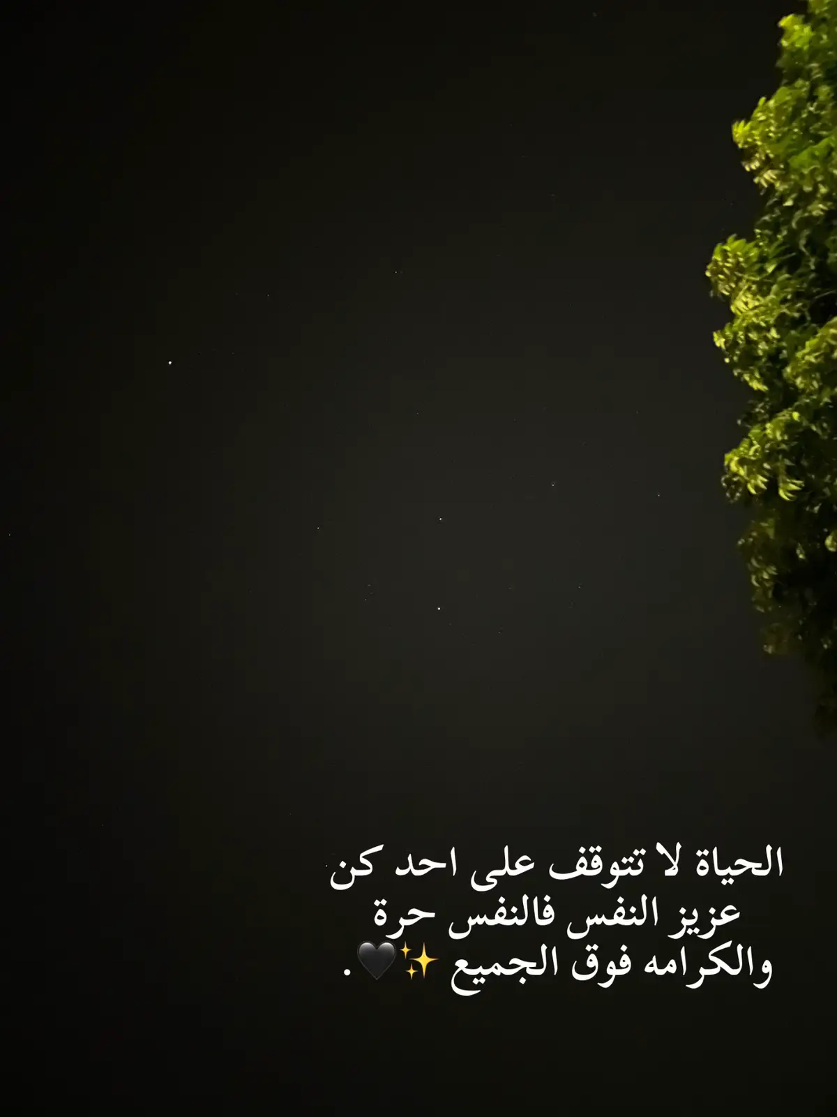 الحياة لا تتوقف علي احد كن عزيز النفس فالنفس حرة والكرامه فوق الجميع 🖤#عبارات #اكسبلور #متابعة 