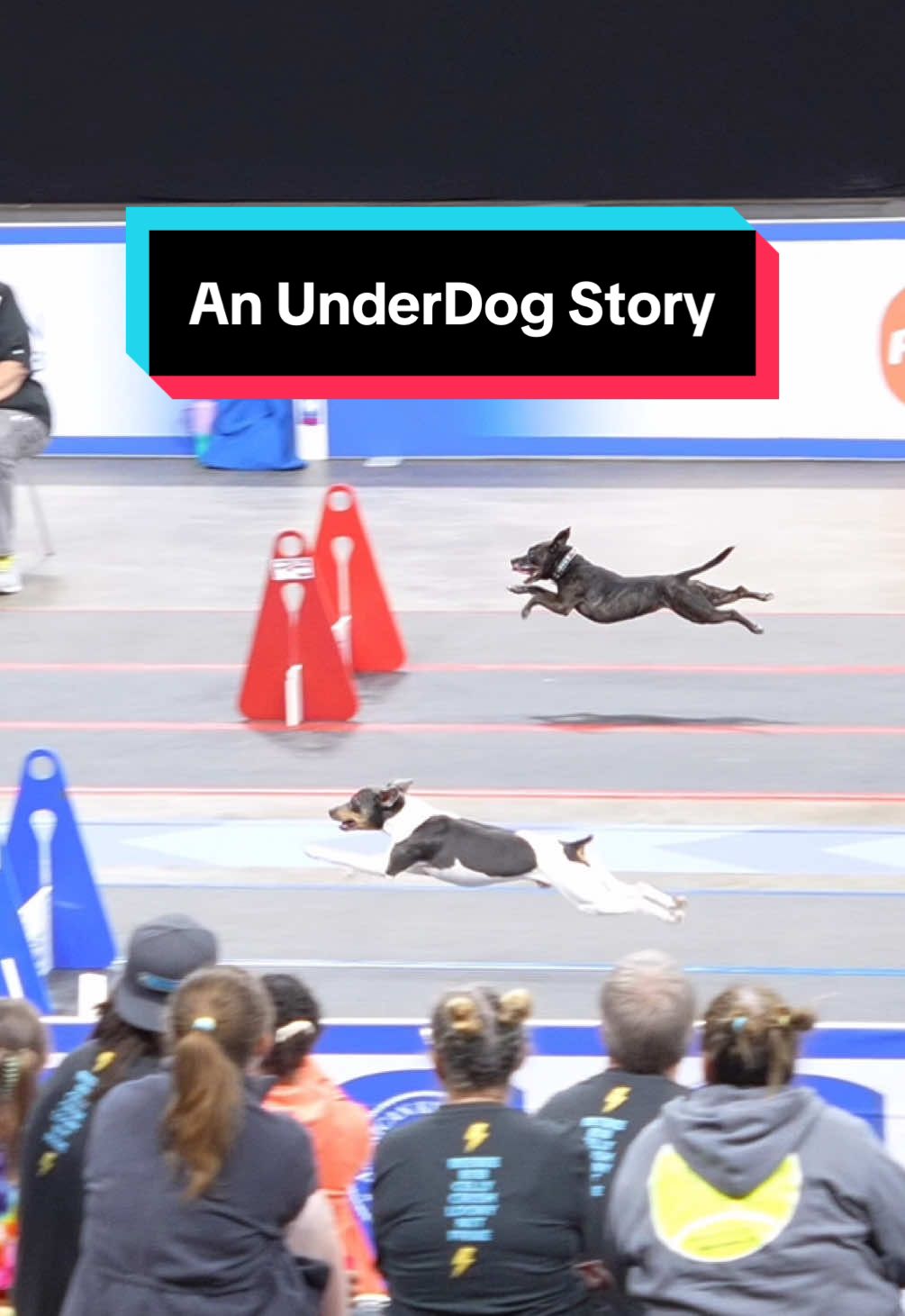 An underdog story