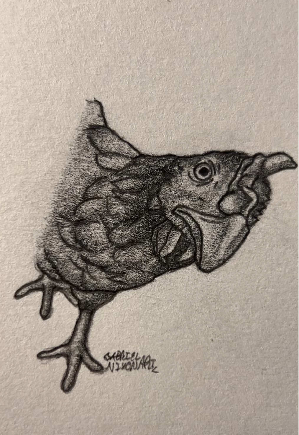 Staring right into the soul😭  Credit- memesbymuna/IG    #fyp #art #chicken #linkinpark #foryouuuuuuuuuuuuu 