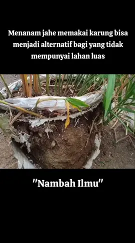 #ilmu #pertanian #belajar #perkebunan 