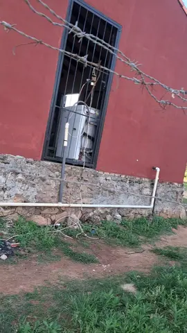 #fyppppppppppppppppppppppp #humortiktok  #quierosalirenparati #paraguay🇵🇾 #viralvideos 