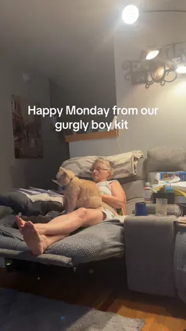 #cats #catsoftiktok #orangecat #orangecatbehavior #orangecatsoftiktok 