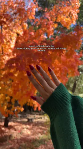 My love story with Fall 🍎🧺🍂🧸☕️