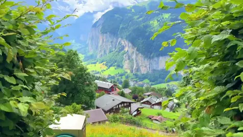 Nature vibe or peace #naturevibes #peace #suíça #nature #viwes 