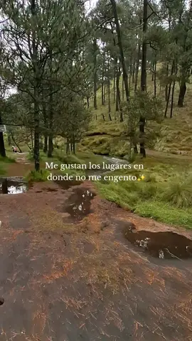 Es hermoso estar sin tantas personas, y solo con mi personita especial. ✨️ #puebla  #naturaleza 