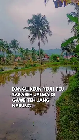 #tah dengekeun 