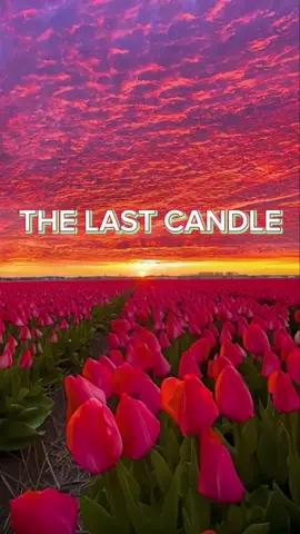 THE LAST CANDLE#musicstation #butyfull__video❤️ #เพลงเพราะ #เพลงฮิตtiktok 
