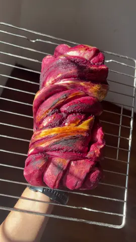 Babka hecha con masa madre de mora 💜🥖 #sourdough #masamadre #pansaludable #emprendedora #sourdoughbread 