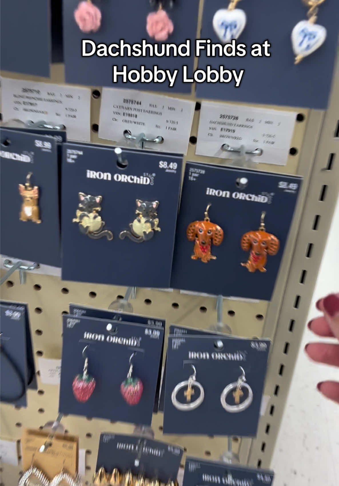 Dachshund earrings at @Hobby Lobby! I’m hoping to find the dachshund cookie jar soon! #fyp #dachshund #dachshundfinds #foryoupage #hobbylobby 