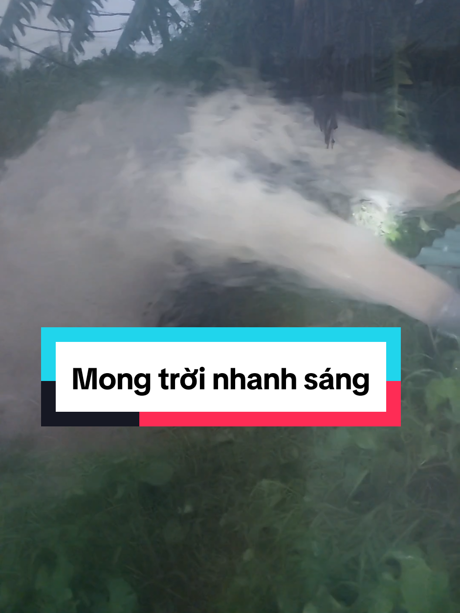 Mong trời sáng. Mong cho mưa bão tan đi #Hảo_Farmer #bão_số_10 #bualoi #trending #xuhuong 