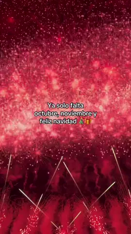 #navidad #nochebuena #añonuevo #merrychristmas #fyp