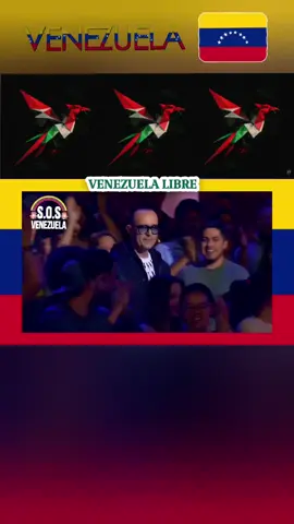 🇻🇪❤️ Venezuela nos dice: ustedes son mi amor eterno, Venezuela nos llama, nuestra madre patria renacerá de las cenizas... #venezuela🇻🇪 #venezuela  #LIVEIncentiveProgram #LIVEwithlowfollowers #PaidPartnership 