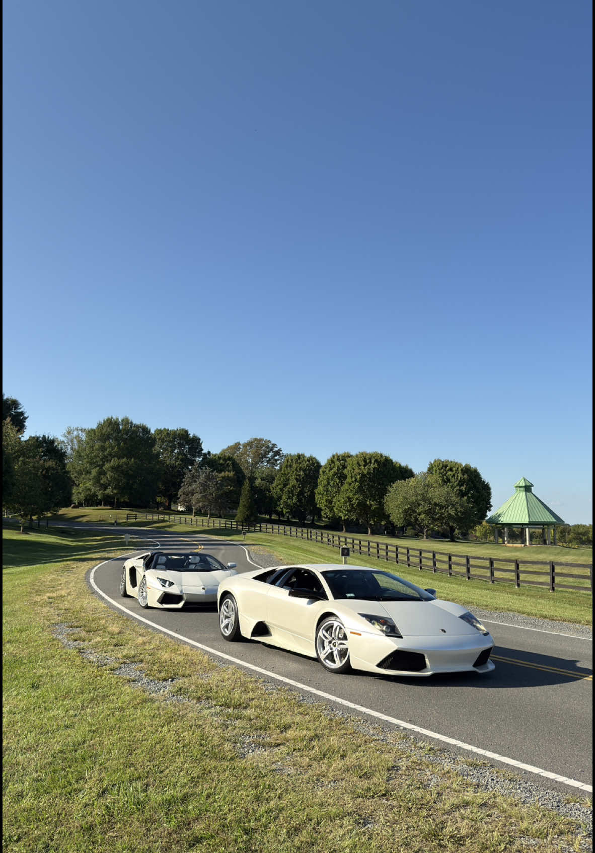 helium sold separately*  #balloonwhite #lp640 #lp700 #murcielago #aventador 