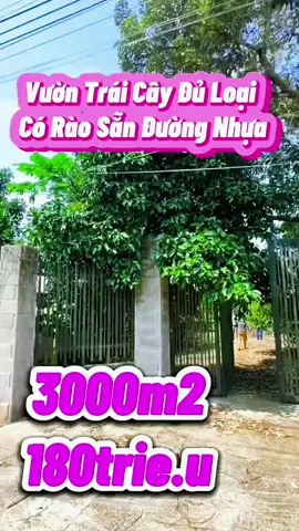 Quan tâm alo em O937//498//550#Bds #bdshanoi #bdstiengiang #bdssaigon #datvuon 