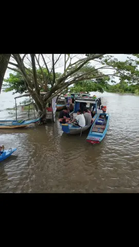 Lai Rai mùa nước lũ dâng cao Hồng Ngự 