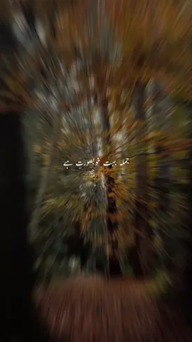 #CapCut 💯 #punjabi #muslimtiktok #fyp #trending 