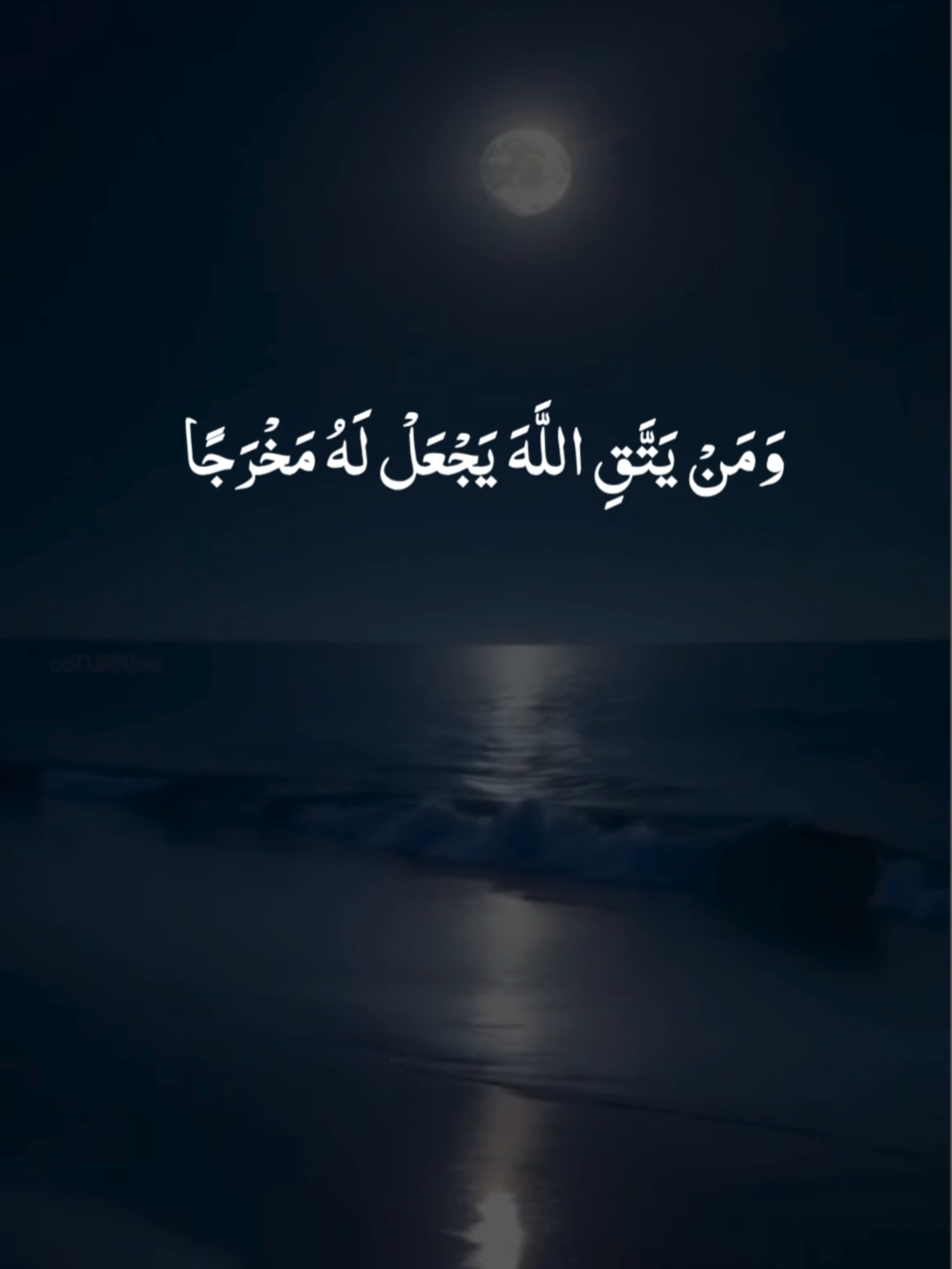 Surah At Talaq #fpy #virale #quranrecitation #قران #قران_كريم#quran #fpy #pfy #viral #tiktokvira #quranvideo