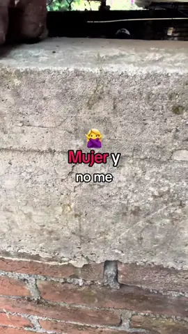 Yo quería ser SPIDERMAN más no PETER PARKER 👤