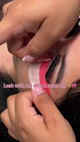 lash with me 💓🪞  Adhesive & tweezers used are linked in my bio 🎀🛍️ #fyp #lashista #lashtok💓 #lashextensions #lashartist 