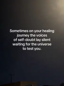 Replacing self-doubt with self-love is hard work. It costs a lot.  It can cost time with family, with friends, with society. It can cost self sacrifice because you have to shed who you were while you were surviving. And letting go of being the person who made sure you survived is emotionally exhausting.  It can cost relationships to have to fade for the sake of self peace and detaching with love.  It can cost a lot.  Are you willing to let this storm, this struggle to take what you worked so fucking hard for?  Or will you remember who you have become  requires still moving forward through fear.  Walking this path doesn’t mean being fearless. It just means being Brave! And all you need to do to be brave is keep fucking going! Feeling brave doesn’t come after the action it comes with it.  Walk in with your fucking head held high! #traumacamp #traumacampleader #HealingJourney #mentalhealthmatters #selflove 