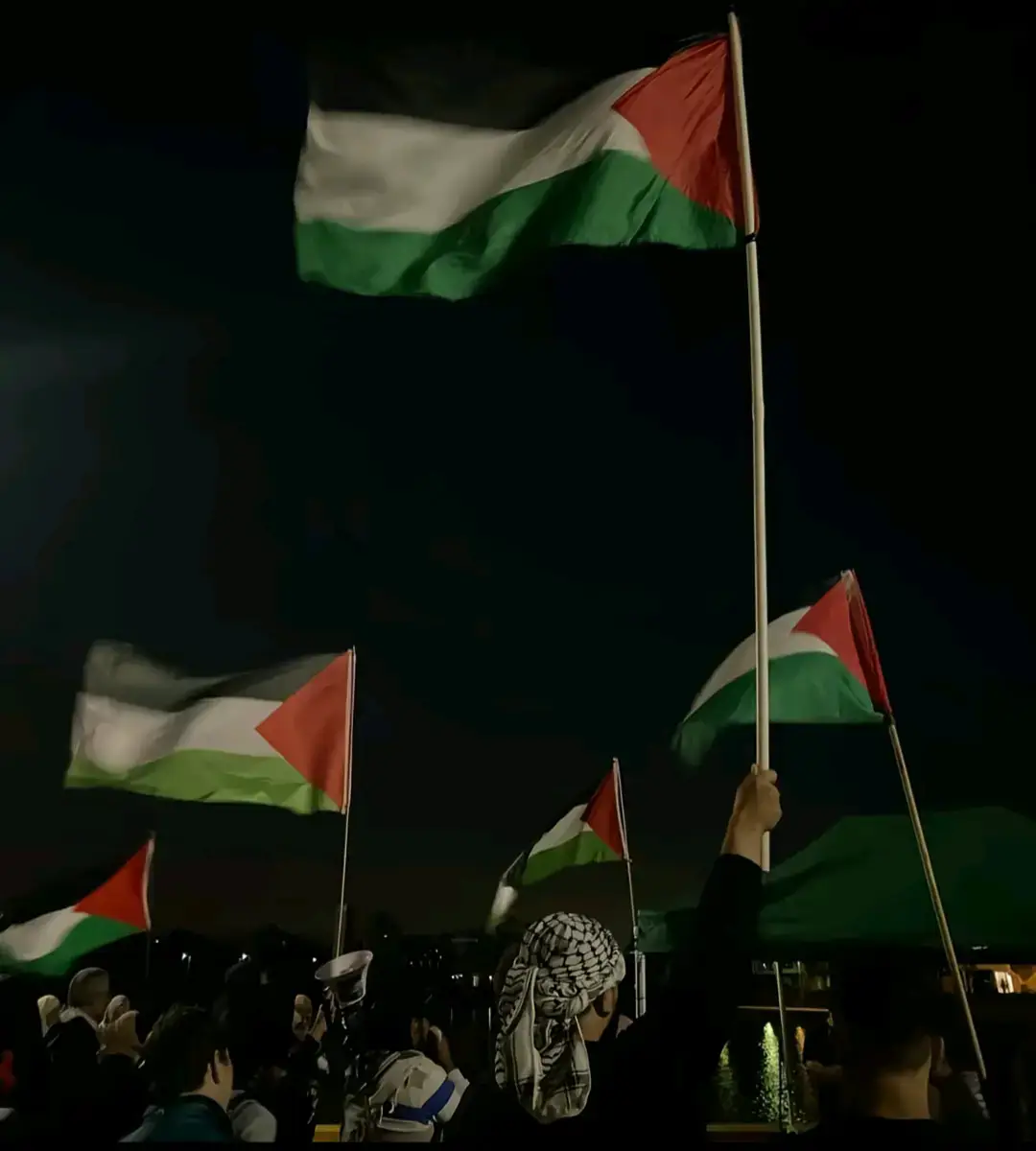 فلسطين 🇵🇸🤍.. 