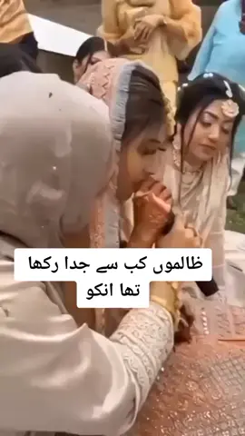 Zaaaaaliiimmmmm Dunya