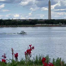 How on Earth are you still smiling #earth #smiling #fyp #water #dc