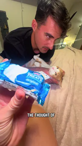 Snap, Crackle, Caught!🍊🐾 #viralcat #funnycat #fy #orangecatbehavior #catsoftiktok @Rice Krispies Treats 