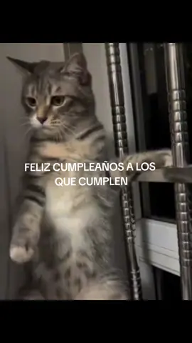 #felizcumpleañosalosquecumplenenoctubre #foryoupage 