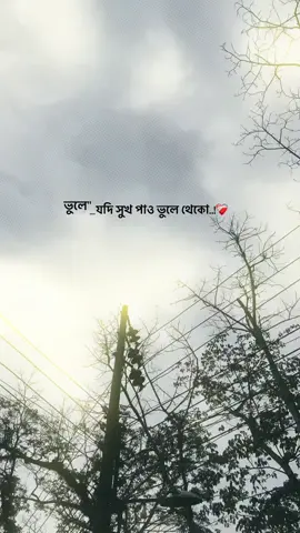 ভুলে