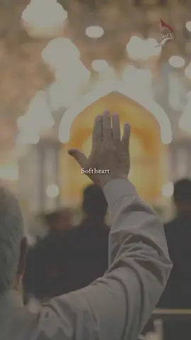 janum ali ali as 🏴💕#molaaliع #aliasmadad #yaalimadadع #unfreezemyacount #viral 