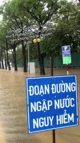 Sông Mỹ Đình có cá 🥹🥹#xuhuong #xuhuongtiktok #mydinh #ngaplut #ti̇ktok 
