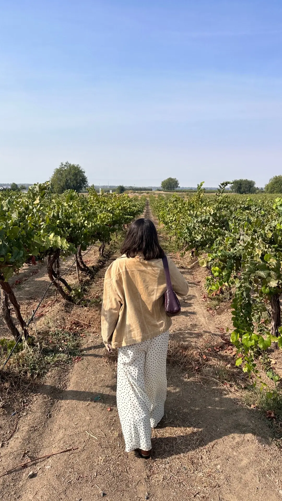 #winery #washington #vineyard #vino #outfit 