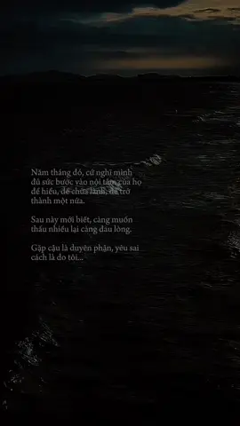 Gặp cậu là duyên phận, yêu sai cách là do tôi..!#theend29 #xuhuong #tamtrang #stitch #st 