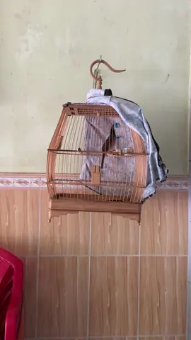 Còn phải đợi chín mùi nên không vội chứng minh điều gì cứ hạt sắc tố lên lửa thôi anh em. 😎😍😍@HIỆP ĐỒNG NAI @HIỆP ĐỒNG NAI. 
