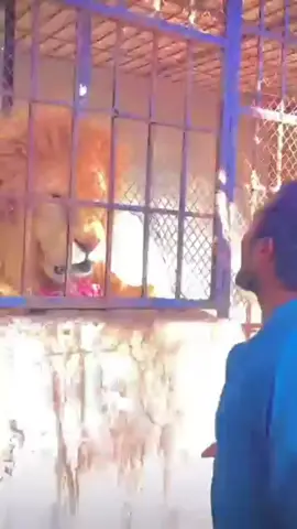 eso fue solo un apretón de manos imagina si lo abrasara