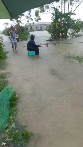 🎣🐟