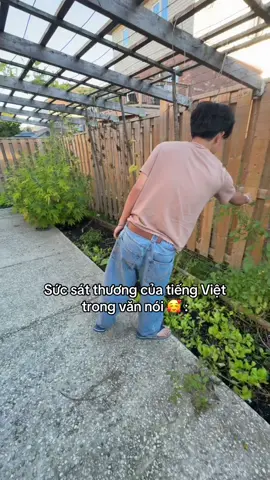 Giọng bắc đây rồiii