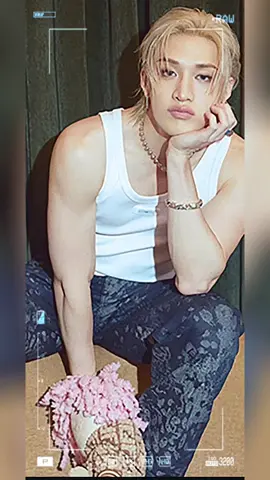 🐺 Bang Chan 🐺  #bangchanstraykids #bangchan #straykidsstay #straykids 
