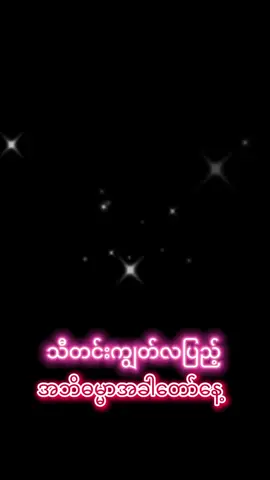 #ဒေါက်တာအရှင်နန္ဒမာလာဘိဝံသ🙏🙏🙏  #အဘိဓမ္မာအခါတော်နေ့  #fly #tiktokfouryou #Credit 