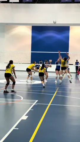 Rally Tigres vs Tec Qro #Conadeip #volleyballplayer #volleyball #voleibolfemenino 