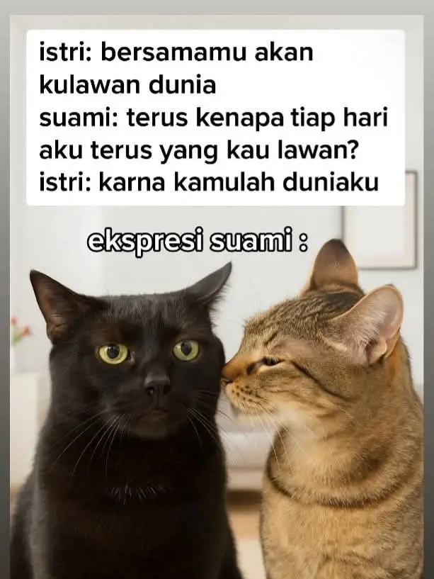 #fyp 