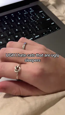 #cat #cats #catonaleash 